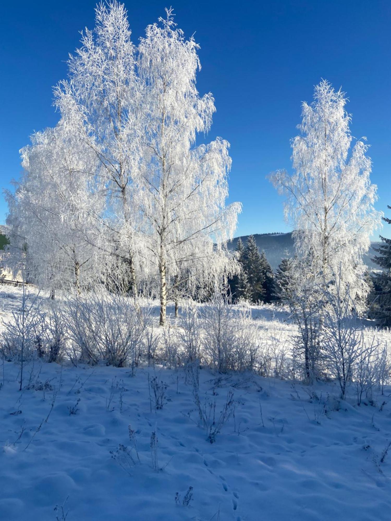 Panorama Karpat Hotel Yablunytsya Luaran gambar