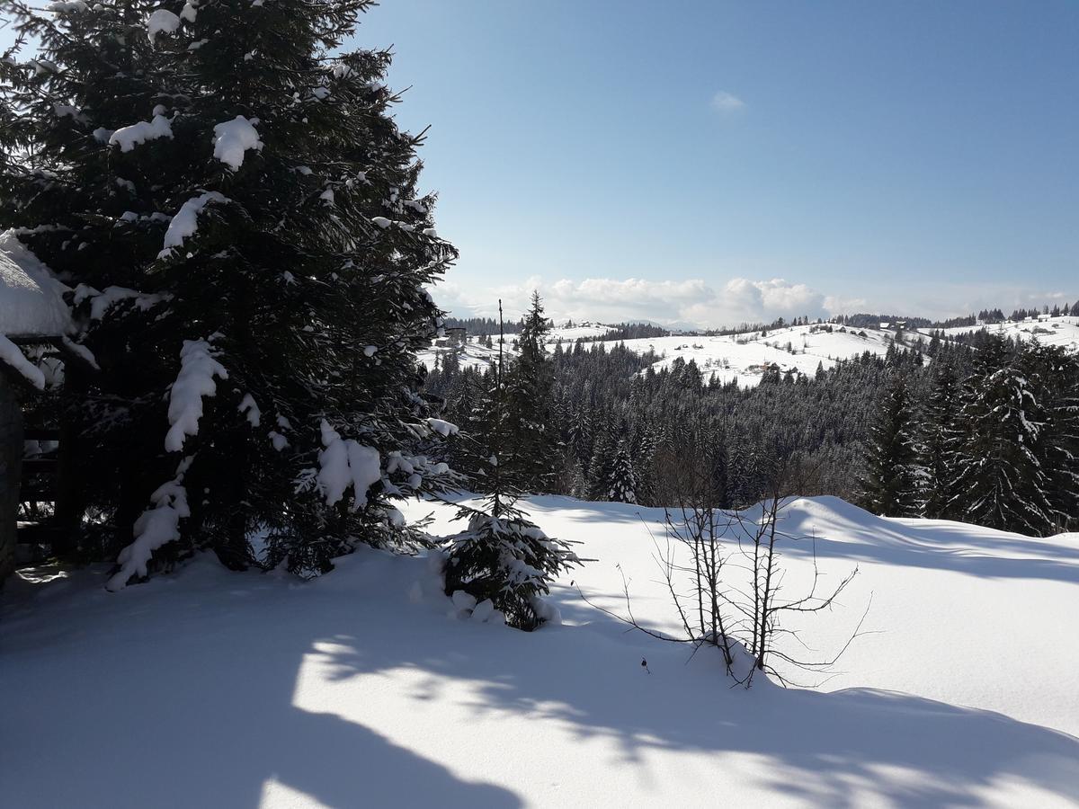 Panorama Karpat Hotel Yablunytsya Luaran gambar